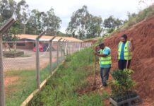 Escola rural de Varginha participa do projeto “Muda de Cidade”