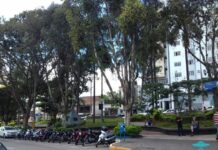 Varginha teve um aumento de mais de 165% no número de veículos em 15 anos
