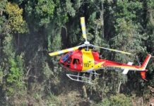 Bombeiros procuram homem desaparecido no Pico do Marins