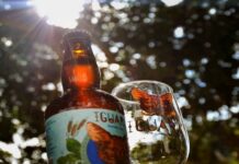 Festival de Cerveja Artesanal será neste fim de semana em Itajubá