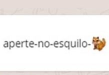 Mensagem com esquilo trava celulares Android – Entenda como funciona