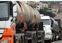 Vacina contra Covid-19: Prefeitura faz pré-cadastro de caminhoneiros Caminhoneiros caminhão