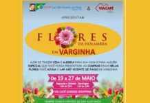 Varginha terá exposição de flores de Holambra