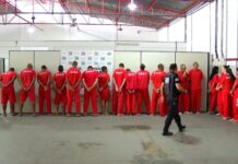 Polícia Civil prende vários suspeitos por tráfico de drogas na Operação Narco Zero