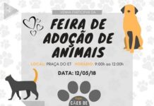 Neste sábado tem Feira de Adoção de Animais no centro de Varginha