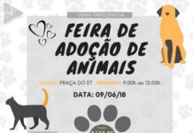 Sábado tem Feira de Adoção de Animais na Praça do ET