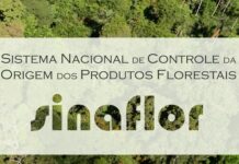 Governo de Minas Gerais adere ao sistema SINAFLOR