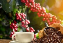 ATUALIZAÇÃO: MP proíbe a venda de quatro marcas de café em Minas Gerais Café