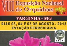 Exposição Nacional de Orquídeas começa nesta sexta-feira