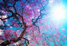 Primavera será marcada por fortes chuvas e queda de temperatura