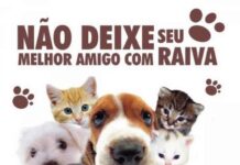 Veja onde vacinar seu bichinho em Varginha