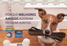 Sábado tem cãominhada na Vila Paiva, em Varginha