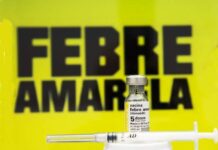 DIA “D” de vacinação contra a Febre Amarela será neste sábado (26) febre amarela