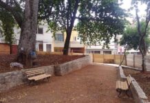 Continuam as obras de revitalização do Jardim do Sapo