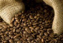 Inscrições para o Concurso de Qualidade dos Cafés de Minas Gerais 2024 estão abertas café