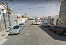 Vila Pinto terá rua interditada nesta sexta para corte de árvore