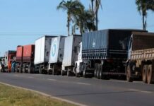 Motoristas devem fazer a autodeclaração para ter direito ao Benefício Caminhoneiro Caminhoneiros