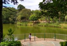 Parque Novo Horizonte é reaberto ao público após manutenção preventiva em Varginha Parque Novo Horizonte
