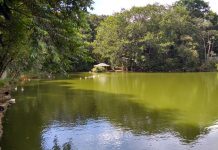 Domingo é dia de pesca no Parque Novo Horizonte Parque Novo Horizonte