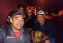 Cão fica preso entre paredes após se assustar com fogos em Varginha