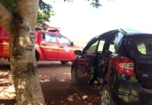 Carro bate em árvore na rodovia entre Machado e Alfenas