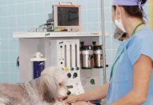 Centro Médico Veterinário do Grupo Unis é inaugurado nesta terça, 10 Medicina veterinária