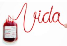 Banco de sangue precisa de doações para o feriado de carnaval Sangue