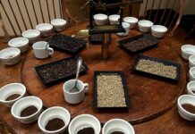 Varginha terá curso de classificação e degustação de café