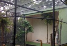 Novo espaço para araras será inaugurado no Zoológico de Varginha