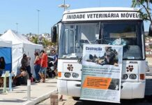 Varginha terá mutirão de castração de cães e gatos