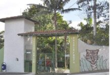 Eleições 2020: parques e zoológico terão horários especiais de funcionamento zoologico varginha