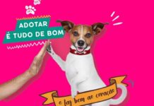 Adote um amor: saiba como fazer adoção responsável em Varginha