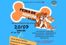 Projeto Cães de Rua organiza Feira de Adoção e Bazar neste sábado projeto cães de rua varginha bazar