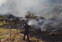Queimada é crime ambiental: pode dar multa e prisão