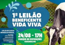 I Leilão Beneficente Vida Viva acontece neste sábado (24) 1 leilão beneficente vida viva varginha