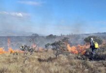 Bombeiros combatem incêndio há 5 dias em Carrancas Incêndio em Carrancas