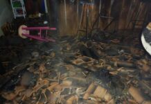 Incêndio em casa no bairro Alto do Pinheiros pode ter sido criminoso Incêndio no bairro Alto do Pinheiros