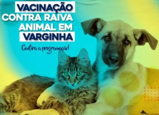 Vacinação antirrábica em Varginha começa em setembro; cidade também oferece atendimento veterinário Vacinação de cães e gatos
