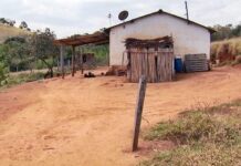 Mulher é agredida com garrafa na zona rural de Varginha, polícia procura por suspeito agressão zona rural de Varginha