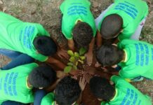 Alunos do Projeto Escola em Tempo Integral participam de projeto ambiental alunos projeto escola tempo integral varginha