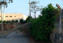 Motociclista morre após perder controle e bater em árvore Acidente