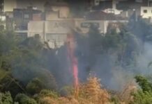 Incêndio destrói mata atrás de supermercado em Varginha Incêndio