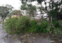 Vendaval causa estragos em Varginha e deixa uma pessoa ferida Vento