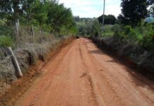 Coutinho suspende linhas rurais urbanas para Flora e Mascatinho Zona Rural