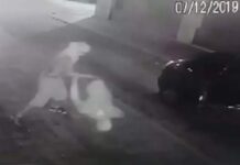Polícia identifica suspeito de furto a loja em Varginha furto em varginha