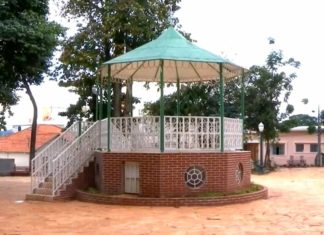jardim do sapo varginha