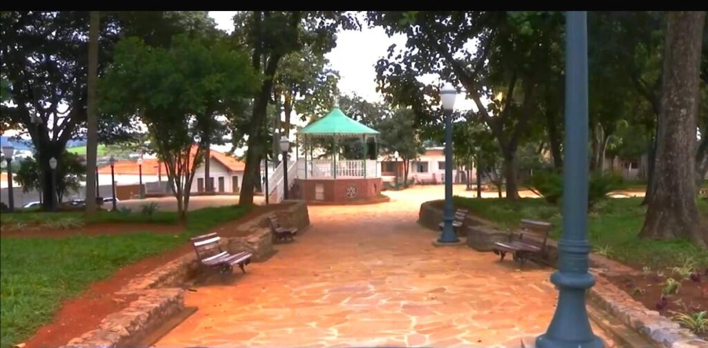 jardim do sapo varginha