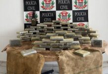 Caminhão de Varginha é apreendido com drogas em Santos Cocaína