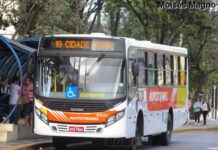 Ônibus da linha 19 é assaltado na manhã desta sexta-feira, 3 ônibus