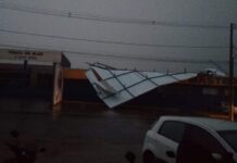 Forte chuva causa queda de árvores e falta de energia em Varginha Colégio Master